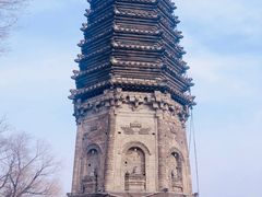 -高尔山公园