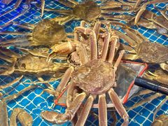 -驻海渔市(置信店)