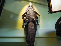 -旅马餐厅(茅家埠店)