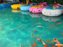 -北国之春国宴(乌兰察布店)