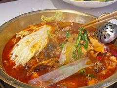 -涿派·炝锅鱼(涿州店)