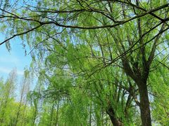 -苏州太湖国家湿地公园