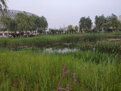 -华北理工大学(曹妃甸校区)