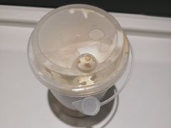 -茶大椰·椰子茶(星悦荟店)