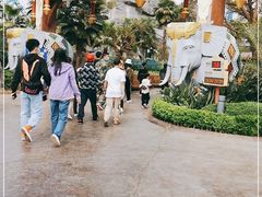 -七彩云南欢乐世界