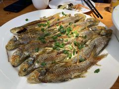 -哈味食店(外伶仃岛店)
