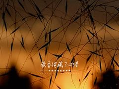 -映月湖中央公园