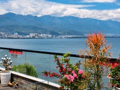 -野菌皇海景野生菌火锅(滨海大道店)