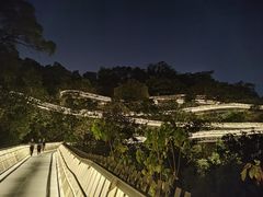 -福道