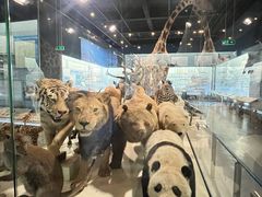 -浙江自然博物院(杭州馆)