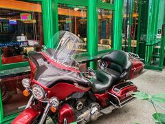 -Famous肥猫墨西哥音乐餐吧(五棵松华熙LIVE店)