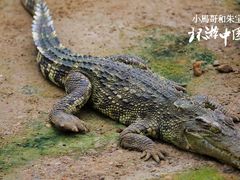 -水洞沟旅游区
