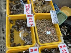 -蛇口市场