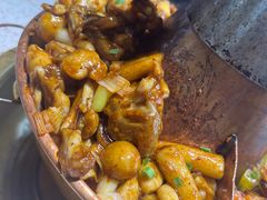 -老佛爷铜炉蛙锅(挂绿店)