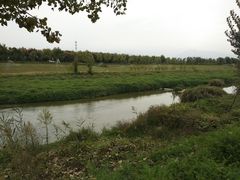 -洨河生态公园