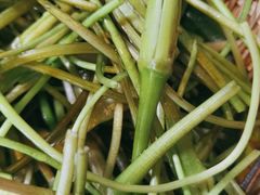 -慢丽江·云南野生菌土鸡锅(西山店)