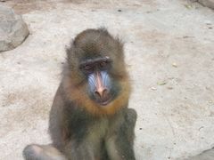 -泉州海丝野生动物世界