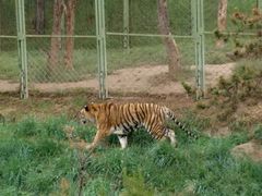-青藏高原野生动物园