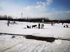-绿野森林乐园冰雪季