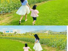 -光明小镇欢乐田园