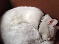 iphone_upload_pic-映画咖啡