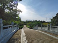 -同里国家湿地公园