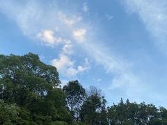 -福道
