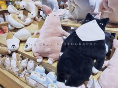 -九木杂物社(中心店)