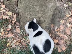 -西园寺素食(西园弄戒幢律寺店)