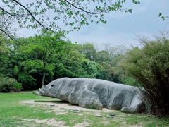 -上海吴淞炮台湾国家湿地公园