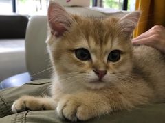 -美联众合动物医院·24h转诊中心