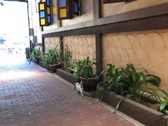 -真浪花园海鲜餐馆