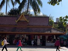 -西双版纳傣族园