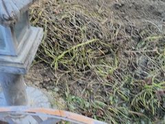 -重元寺香积厨素斋馆