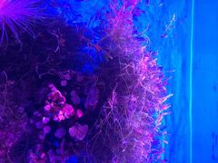 -多彩贵州城极地海洋世界