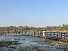 -西青郊野公园