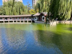 -团结湖公园
