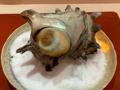 -橼舍鮨青木