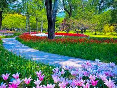 -国家植物园