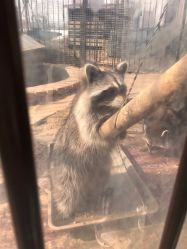 -萌宠亲子动物乐园(槐房万达店)