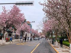 -天津五大道文化旅游区