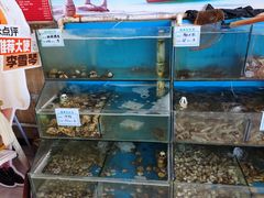 -小叶大馅饺子城