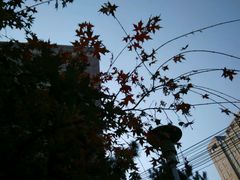 -辽宁大学(崇山校区)