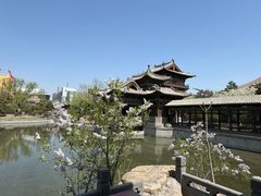-善化寺