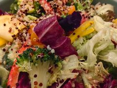 -haxnbauer海森堡德国餐厅(深圳coco店)