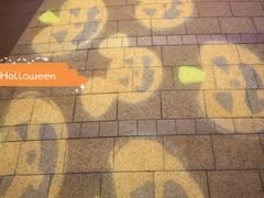 -迪士尼乐园停车场