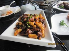 -云中小雅