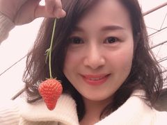 -大自然农场蔬菜草莓采摘园