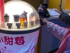 -麦当劳(田林好又多店)