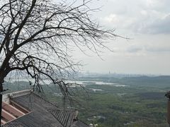 -灵顺寺